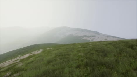 Luftaufnahme-Einer-Grünen-Hügellandschaft-Im-Nebel